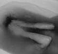 /album/fotogaleria/images-3-jpg/